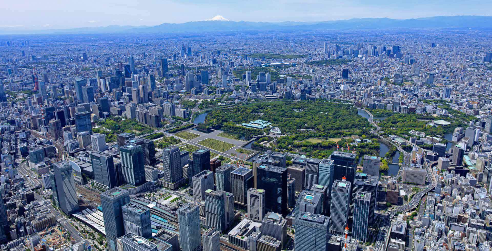 Matsumi Life Consultation