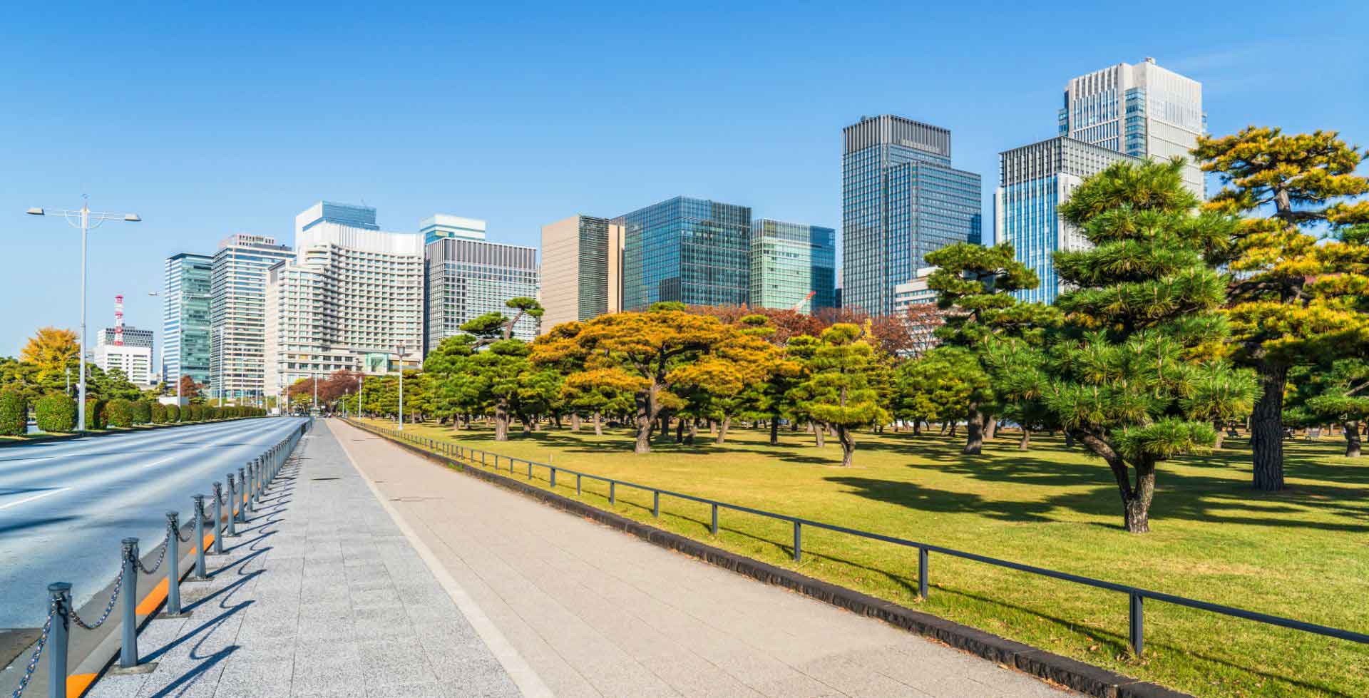Matsumi Life Consultation